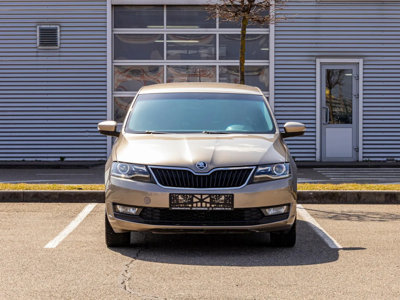 Skoda Rapid
