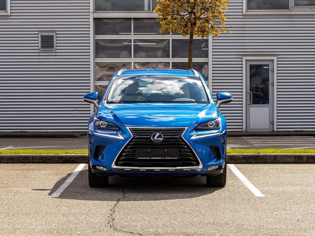 Lexus NX
