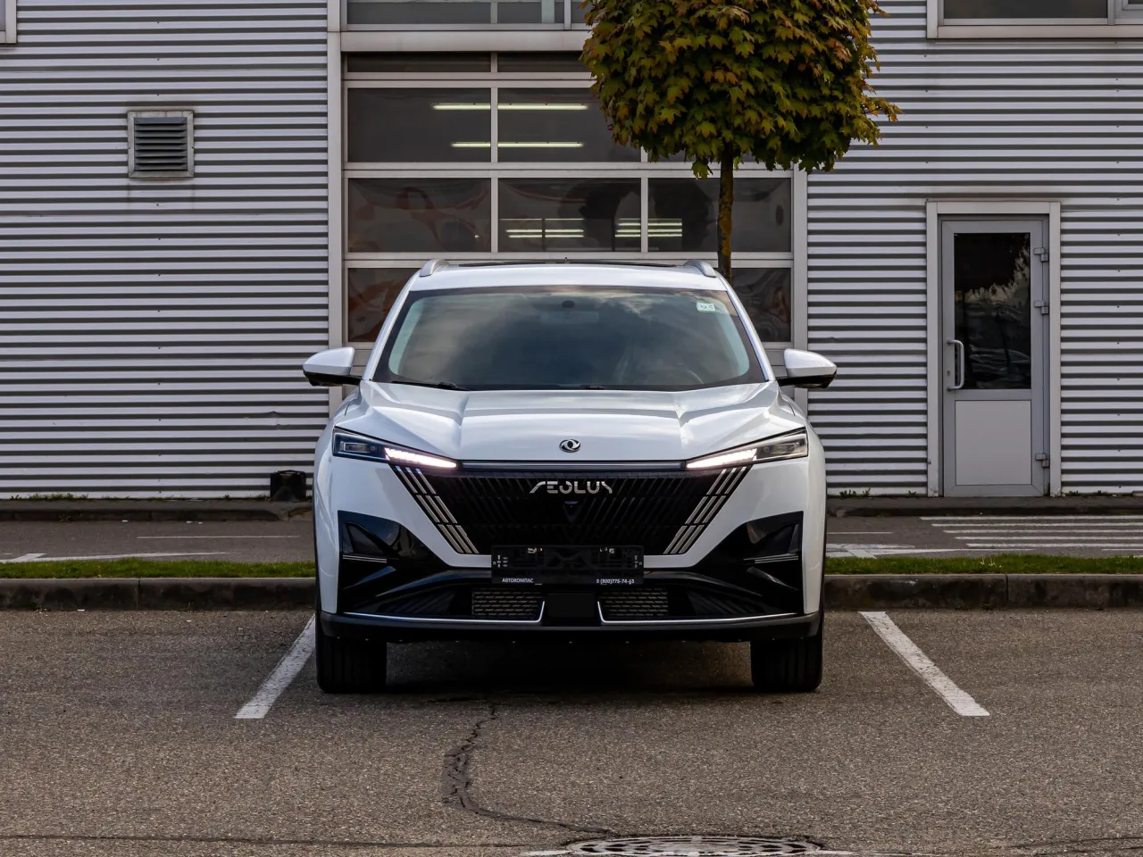 Dongfeng Mage
